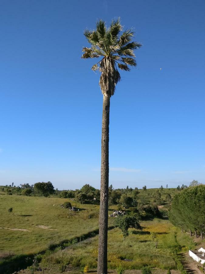 Quinta Da Abrunheira - Gustavo Eiffel ξενώνας Ciborro Εξωτερικό φωτογραφία