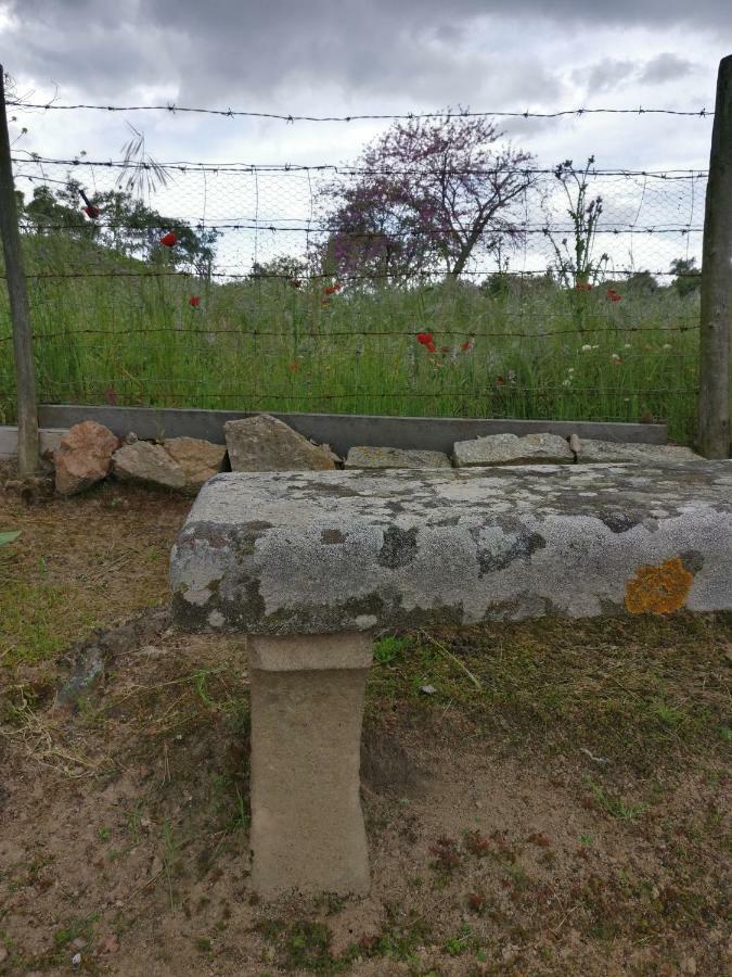 Quinta Da Abrunheira - Gustavo Eiffel ξενώνας Ciborro Εξωτερικό φωτογραφία