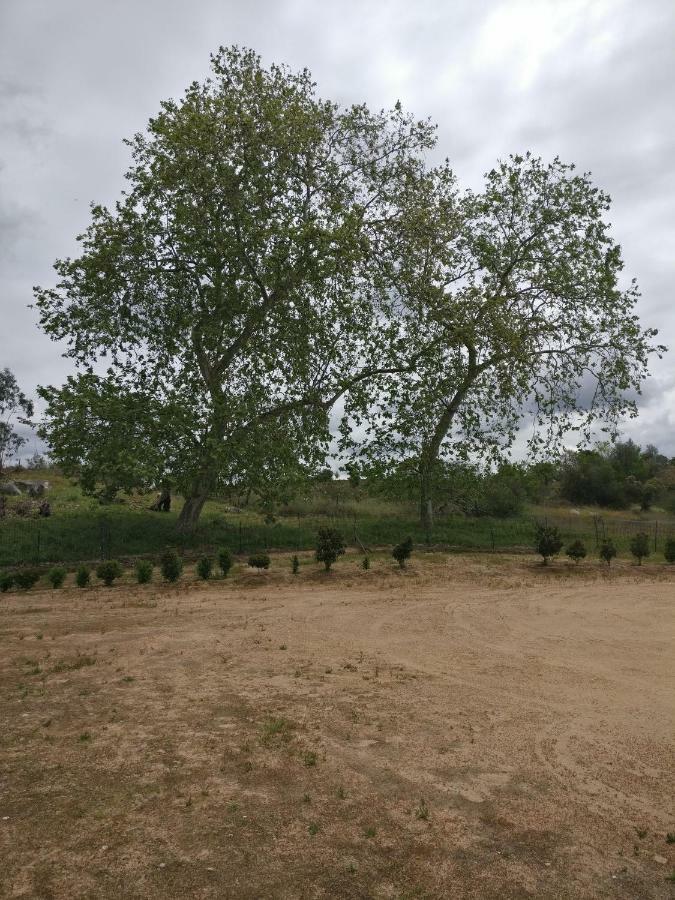 Quinta Da Abrunheira - Gustavo Eiffel ξενώνας Ciborro Εξωτερικό φωτογραφία