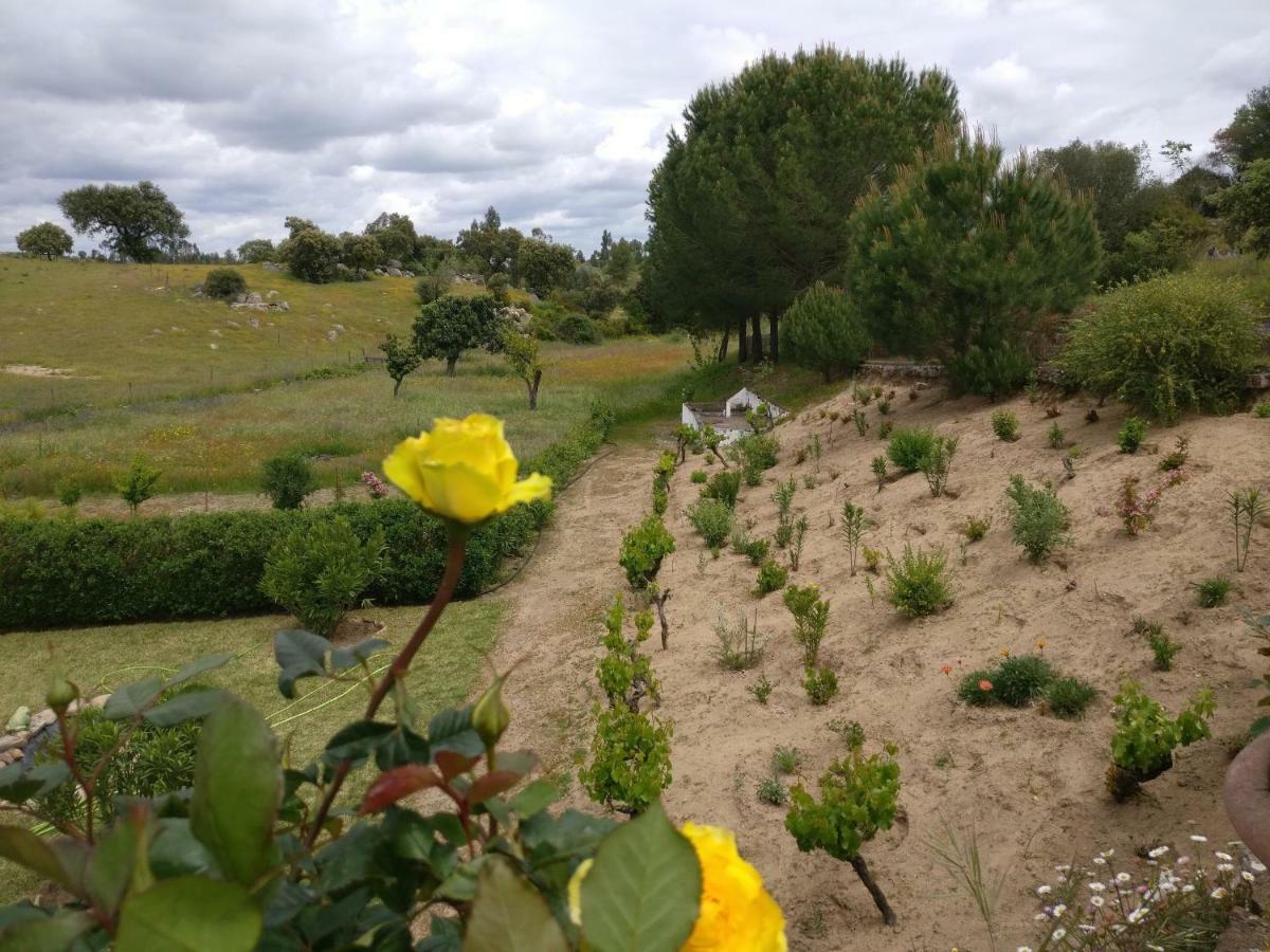 Quinta Da Abrunheira - Gustavo Eiffel ξενώνας Ciborro Εξωτερικό φωτογραφία